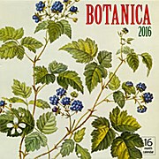 Botanica 2016 Wall Calendar: 16-Month Calendar