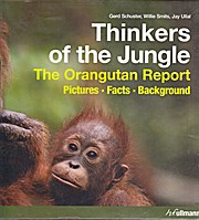 Thinkers of the Jungle: The Orangutan Report