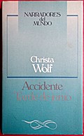 Accidente: noticias de un día ; Tarde de junio